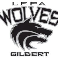 LFPA - Learning Foundation and Performing Arts